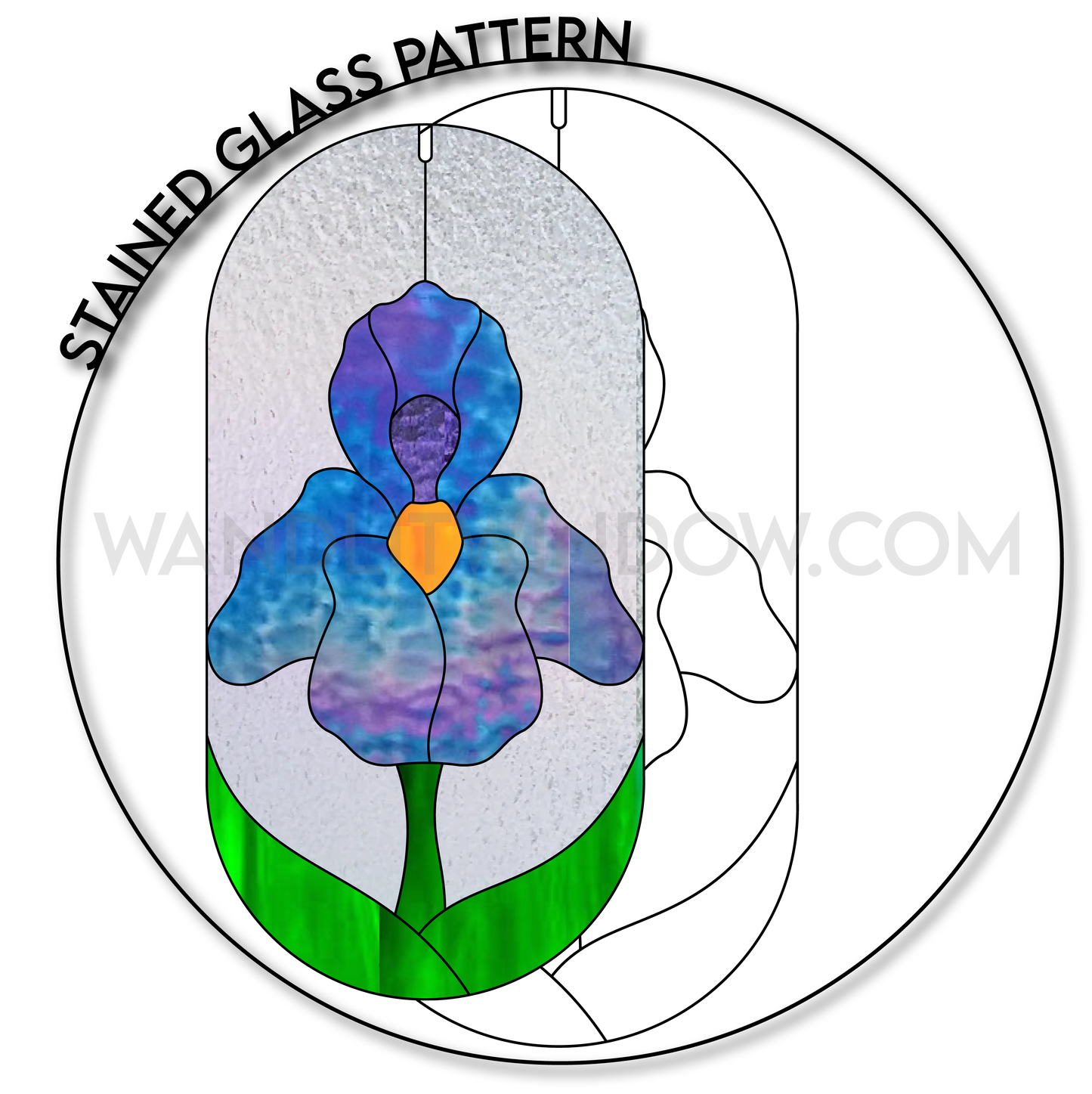 Iris Flower