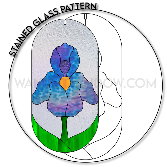 Iris Flower